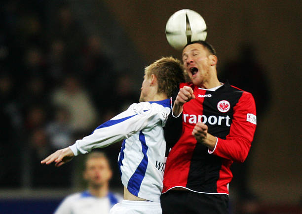 专家预测为 专家预测为