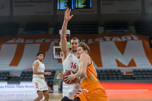 体育山东千 体育山东千