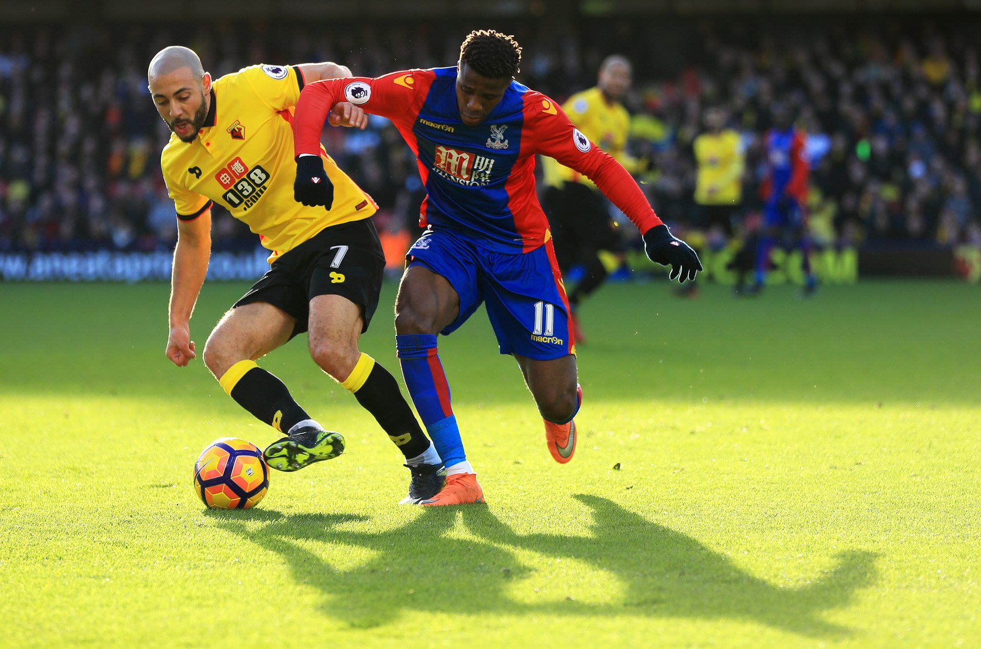 熟选择的成 熟选择的成